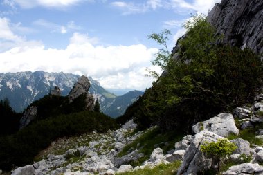 Maceracılar, görkemli dağlar ve yemyeşil yeşilliklerle çevrili Avusturya 'nın Tyrol kentindeki kayalık arazide yürüyüş yaparlar. Parlak güneş ışığı tepeden ince bulutlar geçerken uçurumları aydınlatır..
