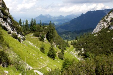 Avusturya 'nın Tyrol kentinin canlı yeşil manzarasında güzel bir yürüyüş yolu esiyor. Yükselen ağaçlar ve kayalık oluşumlar uzak dağların çarpıcı manzarasını sunuyor..