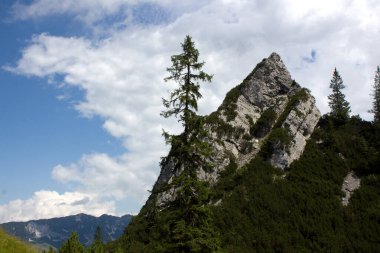 Avusturya 'daki Tyrol' un nefes kesici manzarası derin mavi gökyüzüne çarpan çarpıcı bir kaya oluşumunu gözler önüne seriyor. Kayalık çıkıntının yanında gururla duran yalnız bir ağaç engebeli araziye katı bir zıtlık sağlıyor..