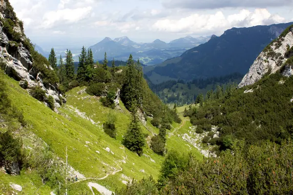 Avusturya 'nın Tyrol kentinin canlı yeşil manzarasında güzel bir yürüyüş yolu esiyor. Yükselen ağaçlar ve kayalık oluşumlar uzak dağların çarpıcı manzarasını sunuyor..