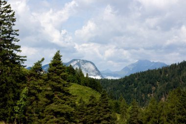 Tyrolean dağlarının geniş bir manzarası yoğun kozalaklı ormanlar ve çimenli yamaçlarla dolu büyüleyici bir manzarayı gözler önüne seriyor. Uzaktan görkemli zirveler yükselir, kısmen bulutlar tarafından gizlenir.