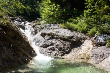 Şelale gibi akan su taşların üzerinden akar ve uzun ağaçların altında huzurlu bir atmosfer yaratır. Güneş ışığı yaprakların arasından süzülür, aşağıdaki temiz havuzu aydınlatır..