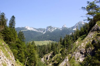 Güneşli bir günde sık ormanlarla çevrili yüksek dağların nefes kesici manzarası sakin bir açık hava ortamındaki güzelliği vurguluyor..