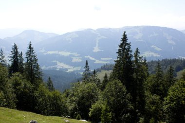 Uçsuz bucaksız dağlar, parlak bir gökyüzünün altında yemyeşil ormanlarla çevrili. Yumuşak güneş ışığı, aşağıdaki sakin vadileri aydınlatarak manzarayı aydınlatır..