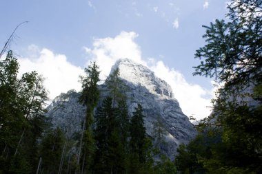 Yükselen dağ zirvesi, yemyeşil ağaçlar ve parlak mavi gökyüzü tarafından çerçevelenmiş manzarayı büyüler ve vahşi doğada barışçıl bir atmosfer yaratır..