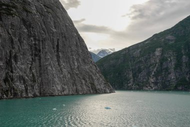 Tracy Arm Fiyort Alaska 'da