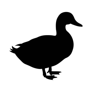 Beyaz arka planda izole edilmiş siyah bir ördek silueti. Çiftlik hayvanı temaları, vahşi yaşam çizimleri ve doğa tabanlı grafik tasarımları için mükemmel..