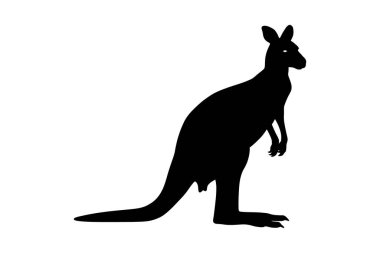 Beyaz arka planda duran siyah bir kangurunun silueti. İkonik Avustralya keseli sıklıkla vahşi yaşam, doğa ve taşra temalarıyla ilişkilendirilir..