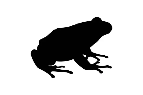 Oturma pozisyonunda siyah bir kurbağa silueti, yana dönük, belirgin uzuvlarını ve vücut şeklini gösteriyor. Amfibileri, sulak alanları ya da doğa temalarını temsil eden tasarımlar için mükemmel..