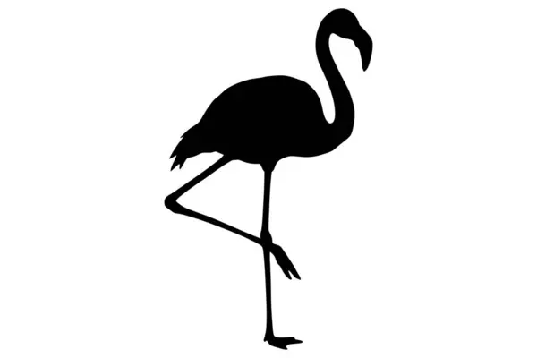 Flamingo 'nun siyah silueti yan profilde tek bacağının üzerinde duruyor. Görüntü, genellikle tropikal ve egzotik ortamlarla ilişkili bu zarif kuşun ikonik şeklini yakalar..