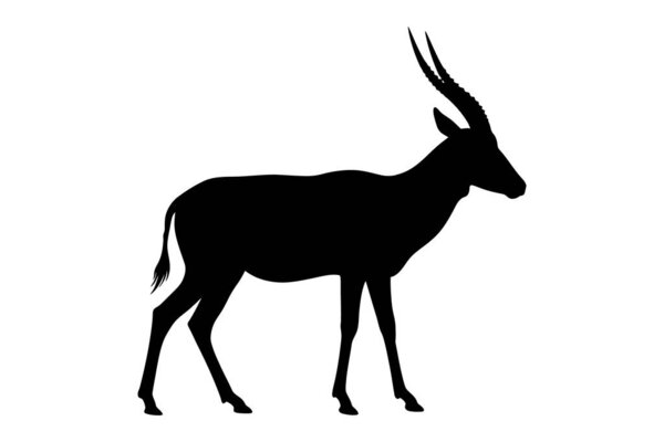 Black silhouette of an antelope or gazelle with long, curved horns standing in side view on a white background. Sleek and elegant wildlife figure ideal for savanna, safari, or nature-related themes.
