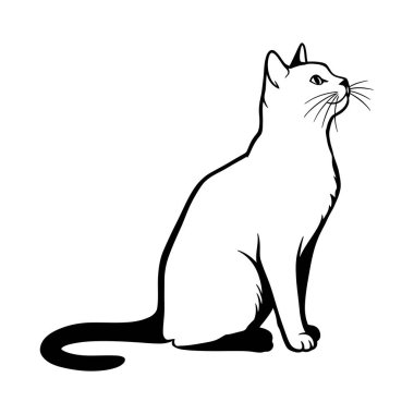 kedi vektör çizimi. Siyah siluet. Beyaz arkaplanda izole edilmiş vektör