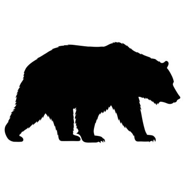 beyaz zemin üzerinde ayı siluet