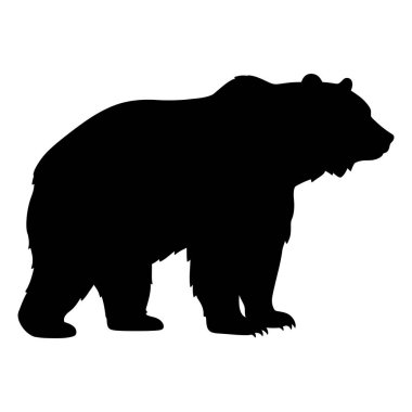 Ayı vektör silueti çizimi