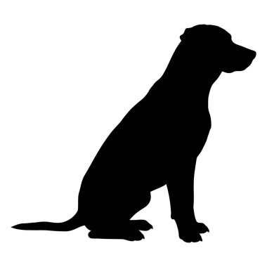 Siyah arka planı olan köpek silueti. vektör illüstrasyonu.