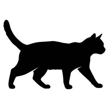 Bir kedinin silüeti