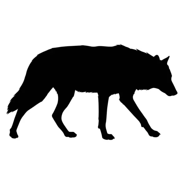 Kurt logosu vektör tasarımı