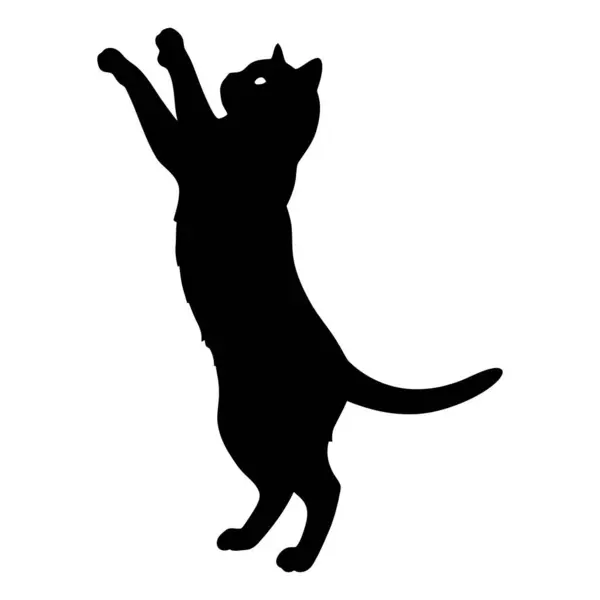 siluet siyah bir kedi.