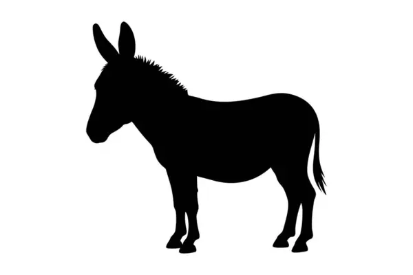 Beyaz arka planda izole edilmiş eşek hayvan silueti. vektör illüstrasyonu.