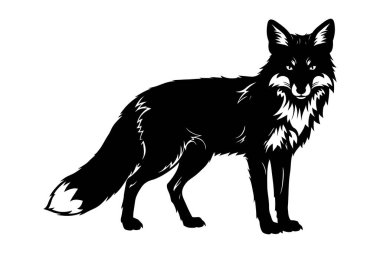 Beyaz arkaplanda siyah kurt silueti