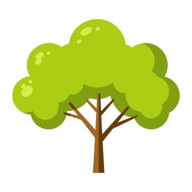 beyaz arkaplanda yeşil ağaç