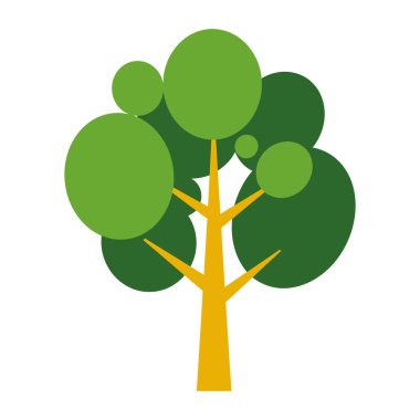 Yeşil yapraklı ağaç