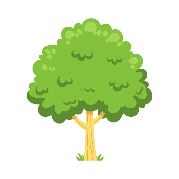 Yapraklı ağaç izole edilmiş simge