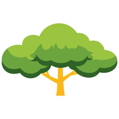 Yapraklı ağaç izole edilmiş simge