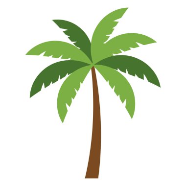 Beyaz arkaplanda izole edilmiş palmiye ağacı, düz tasarım çizimi