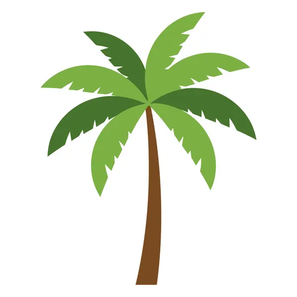 Beyaz arkaplanda izole edilmiş palmiye ağacı, düz tasarım çizimi