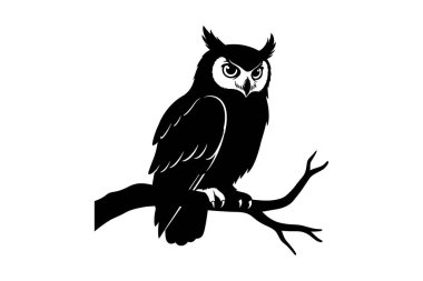 Baykuş siyah silueti