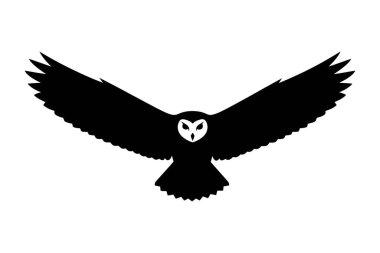 kartal kuş silueti beyaz arkaplanda izole edildi