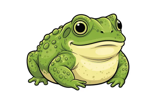 Beyaz arka planda şirin yeşil kurbağa çizgi filmi. Hayvan çizimi. vektör illüstrasyonu