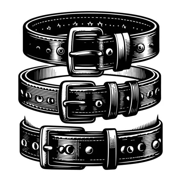 siyah deri kemer vektörü ve illüstrasyon