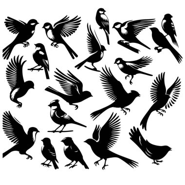 Tasarım için siyah kuş siluet vektör elementleri kümesi.