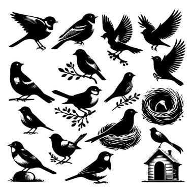 Tasarım için siyah kuş siluet vektör elementleri kümesi.