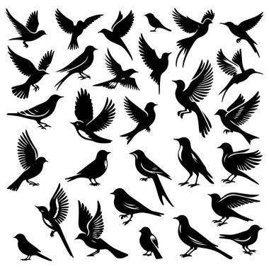 Tasarım için siyah kuş siluet vektör elementleri kümesi.