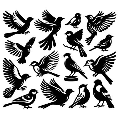 Tasarım için siyah kuş siluet vektör elementleri kümesi.