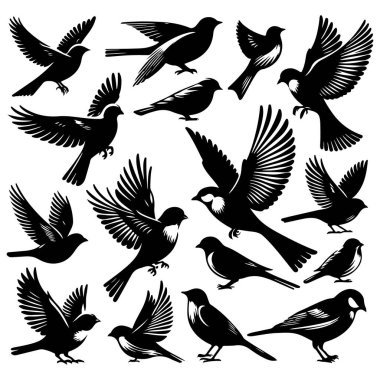 Tasarım için siyah kuş siluet vektör elementleri kümesi.