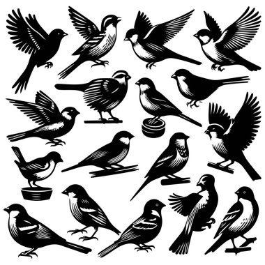 Tasarım için siyah kuş siluet vektör elementleri kümesi.