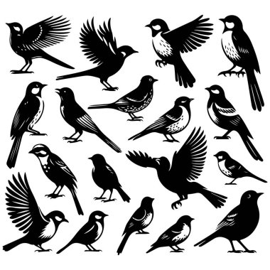 Tasarım için siyah kuş siluet vektör elementleri kümesi.
