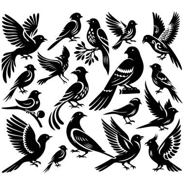 Tasarım için siyah kuş siluet vektör elementleri kümesi.