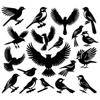 Tasarım için siyah kuş siluet vektör elementleri kümesi.