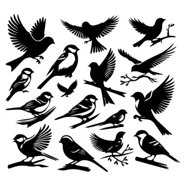 Tasarım için siyah kuş siluet vektör elementleri kümesi.