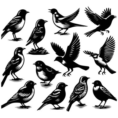 Tasarım için siyah kuş siluet vektör elementleri kümesi.