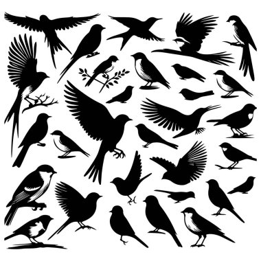 Tasarım için siyah kuş siluet vektör elementleri kümesi.