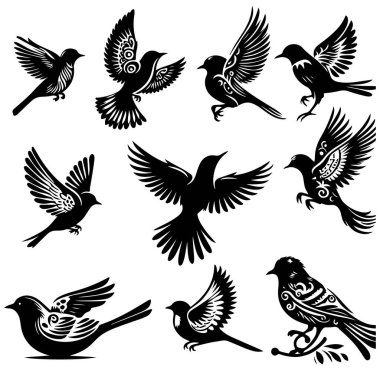 Tasarım için siyah kuş siluet vektör elementleri kümesi.