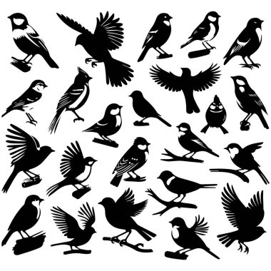 Tasarım için siyah kuş siluet vektör elementleri kümesi.