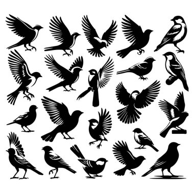 Tasarım için siyah kuş siluet vektör elementleri kümesi.