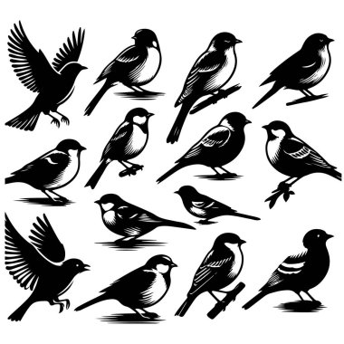 Tasarım için siyah kuş siluet vektör elementleri kümesi.